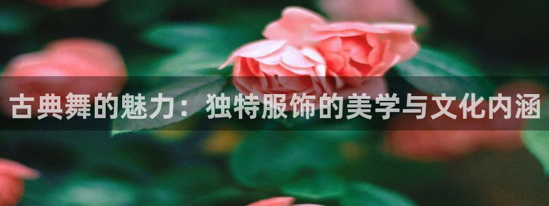谈球吧买球提现