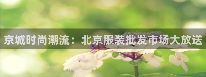 谈球吧网址