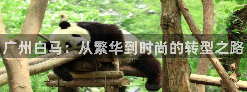 谈球吧在线登陆