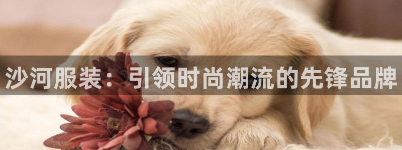 谈球吧下载地址