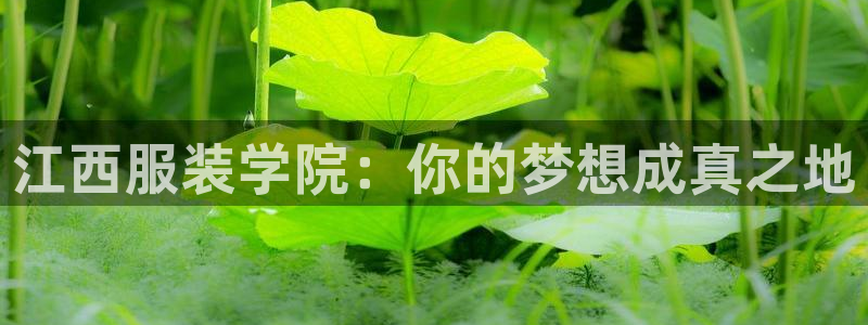 谈球吧是黑台子吗知乎小说