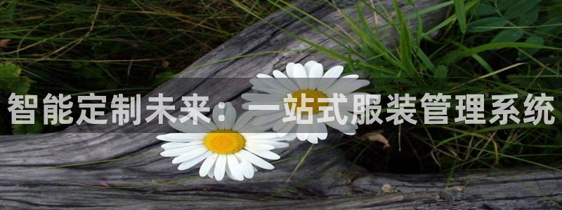 谈球吧nba