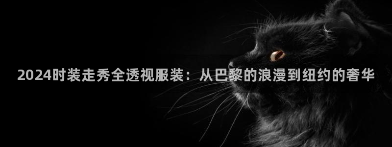谈球吧的聊天软件叫什么来着