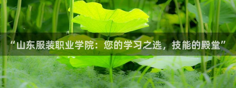 谈球吧娱乐app下载官网苹果版